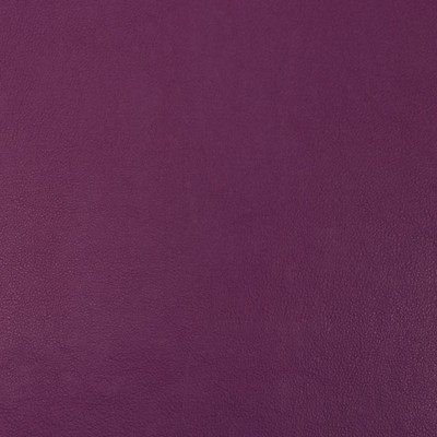 Silver State Old English Magenta